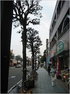 sentei20120424-4.jpg