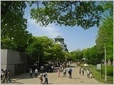 IMG_1601.jpg