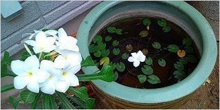 20100819070402.jpg