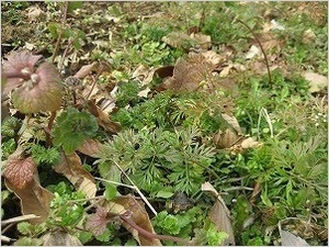 20130209-8.jpg
