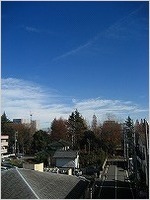 IMG_4551.jpg