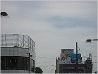 IMG_3738.jpg